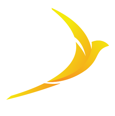 macaw bird
